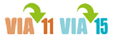 VIA11 Logo