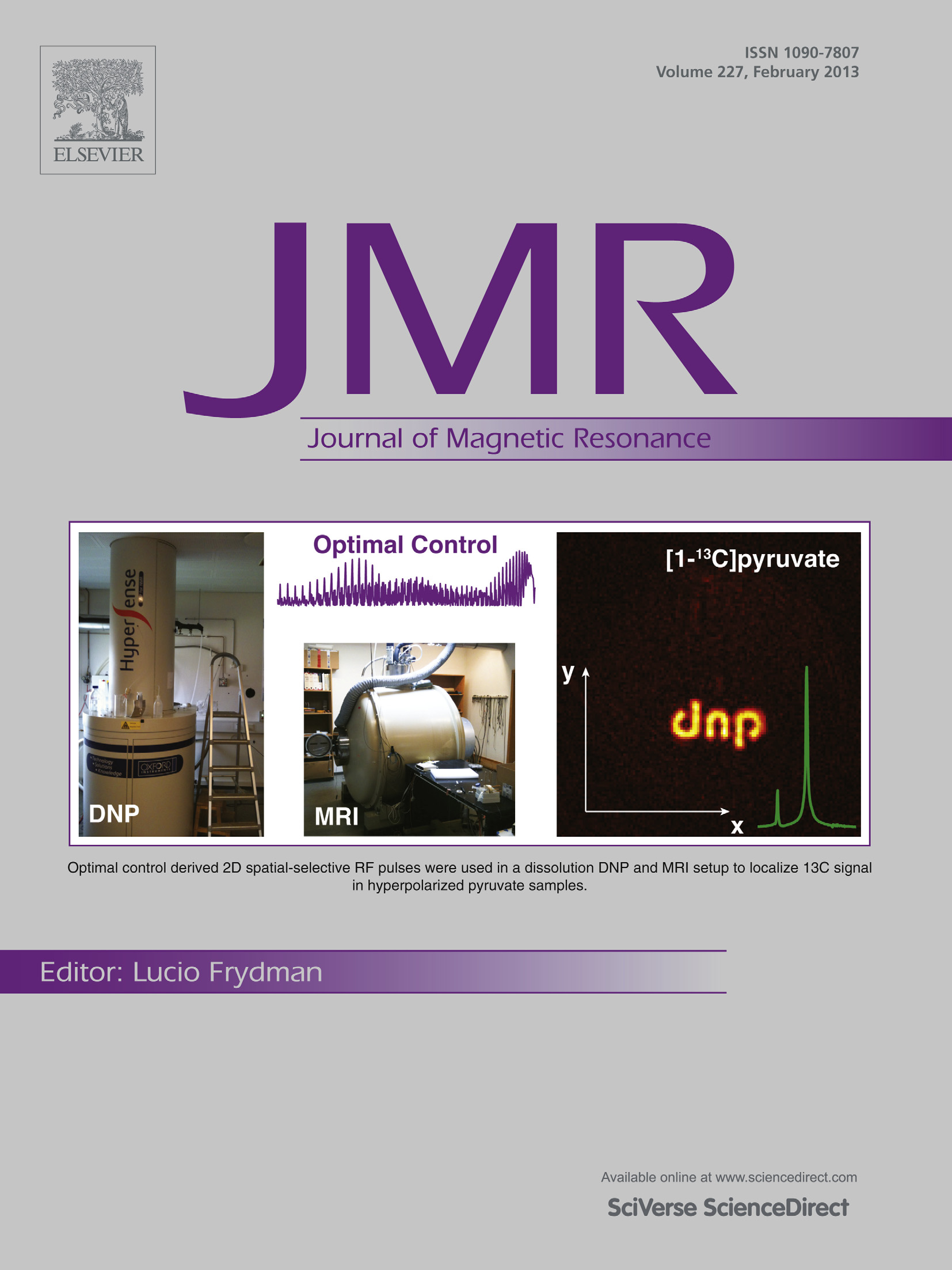 DNP MRI on the cover of JMR, February 2013