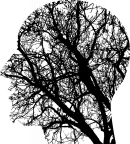 PhD course, Jan 2016:  Tracing brain and behavioral changes across the life span