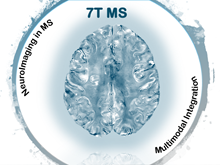 7T MS logo 220x165