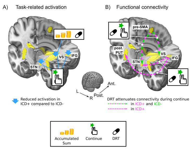 Cognitive and Computational Neuroscience billede Motor system