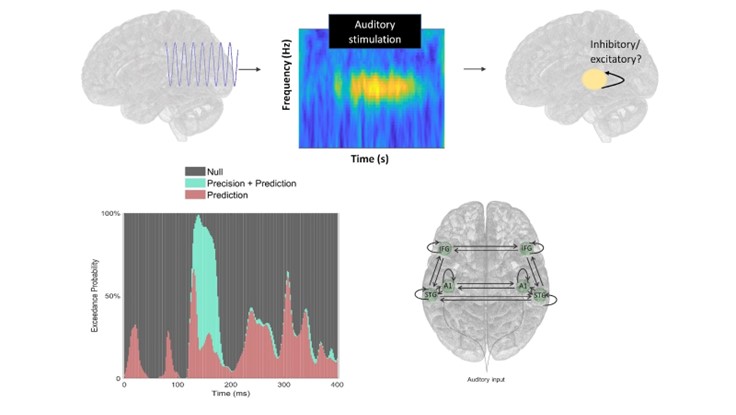 Cognitive and Computational Neuroscience billede Psychiatry