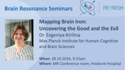 Talk by Dr. Evgeniya Kirilina from the Max Planck Institute for Human Cognitive and Brain Sciences